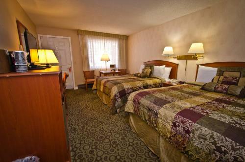 Motel Ouray Chalet Inn