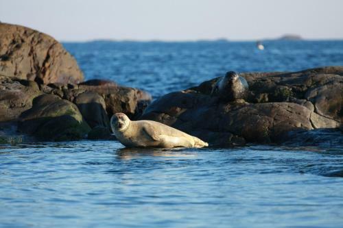 Hav & Logi Sk�rhamn