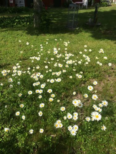 Hostal Swedish Idyll
