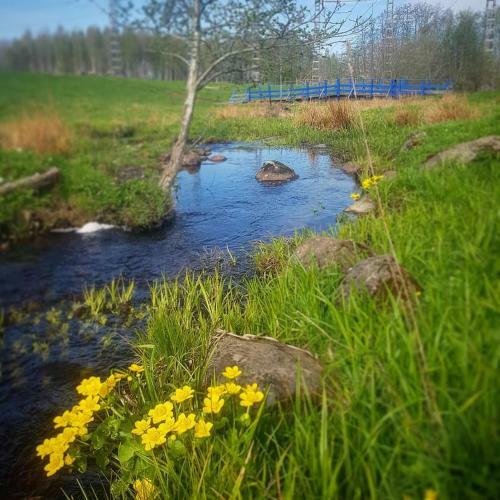 Bed & Breakfast Odensvi