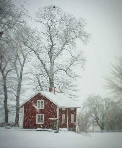 Bed & Breakfast Odensvi