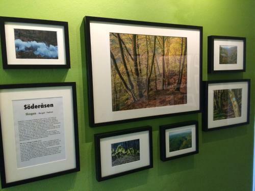 Hostal Pensionat S�der�sen