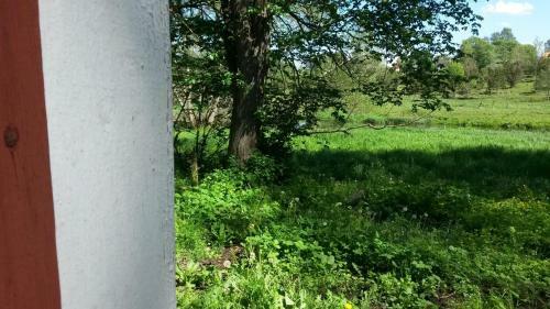 Bosg�rdens Cottages