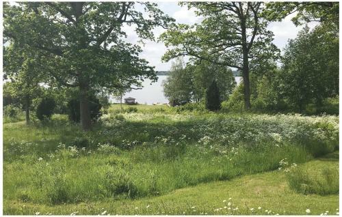 Five-bedroom Holiday Home In Lekeryd