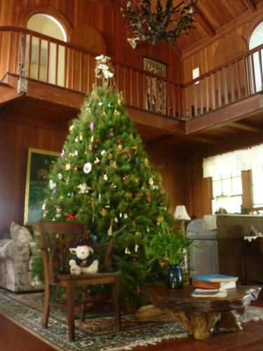 Maureen's Bed And Breakfast