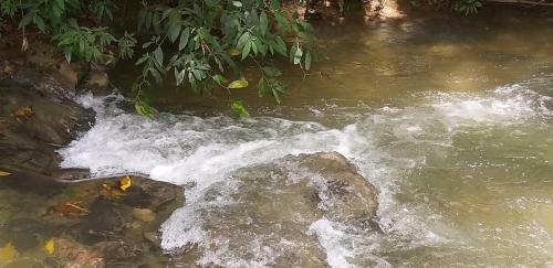 Lodge Chacara Recanto Dos Netos