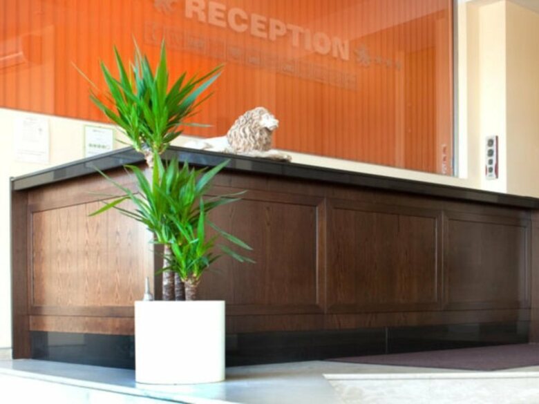 Hotel Lion