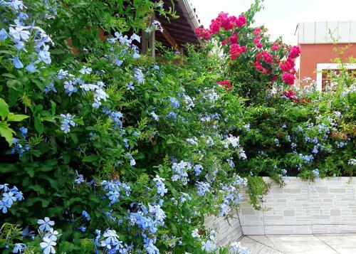 Hostal Pousada Monjope