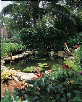 Hotel Sanibel Inn