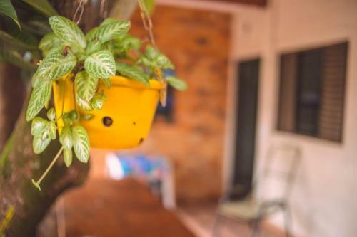 Hostal Menina Mo�a Suites
