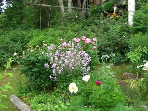 Brigitte's Bavarian Bed Und Breakfast