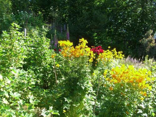 Brigitte's Bavarian Bed Und Breakfast