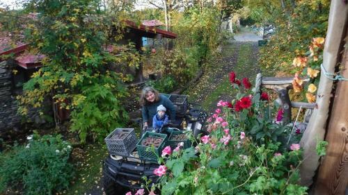 Brigitte's Bavarian Bed Und Breakfast