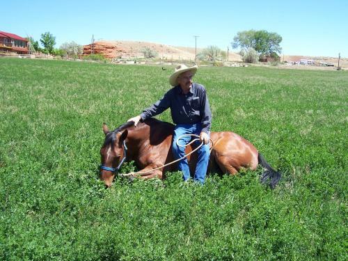 K3 Guest Ranch