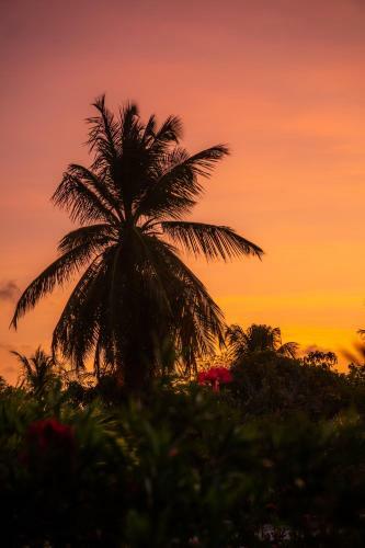 Refugios Parajuru - Casa Verde