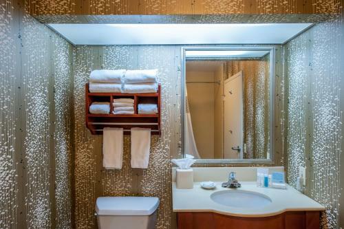 Hotel Hampton Inn Bowling Green Ky