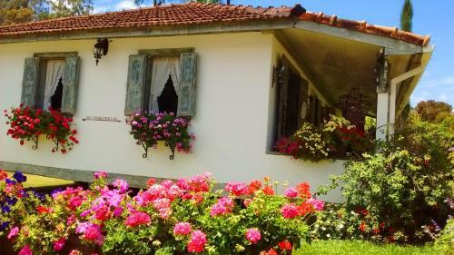Apartamento Flat Em Pedra Azul