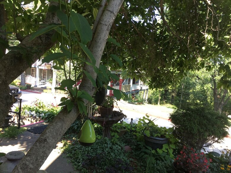 Bed & Breakfast All Seasons Inn