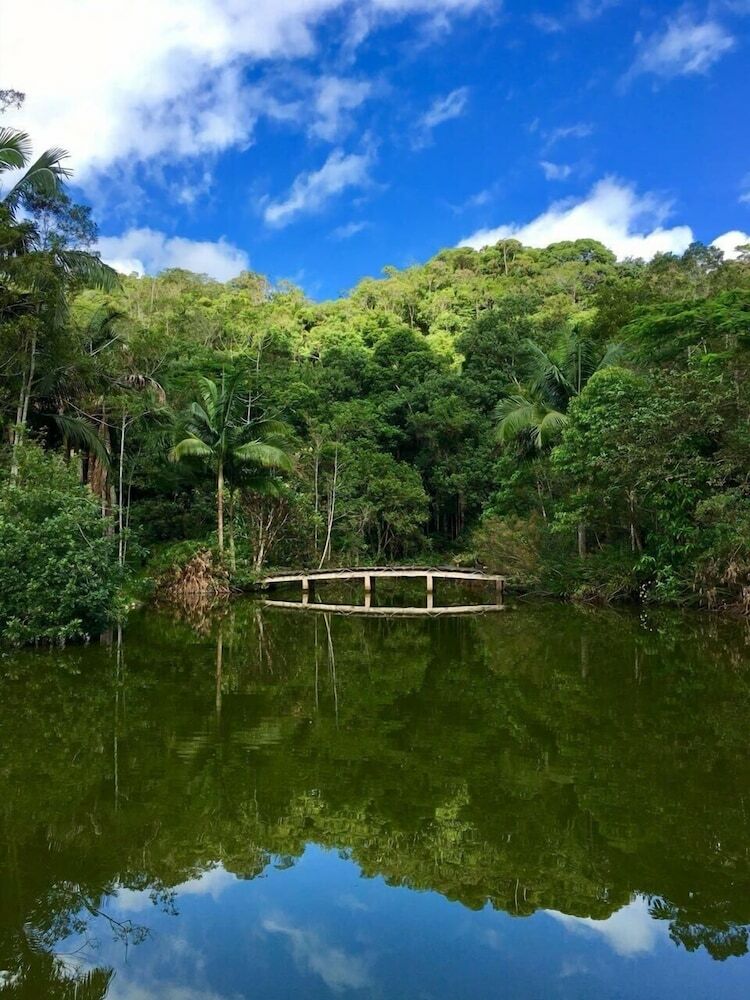 Hostal Pousada Salve Floresta