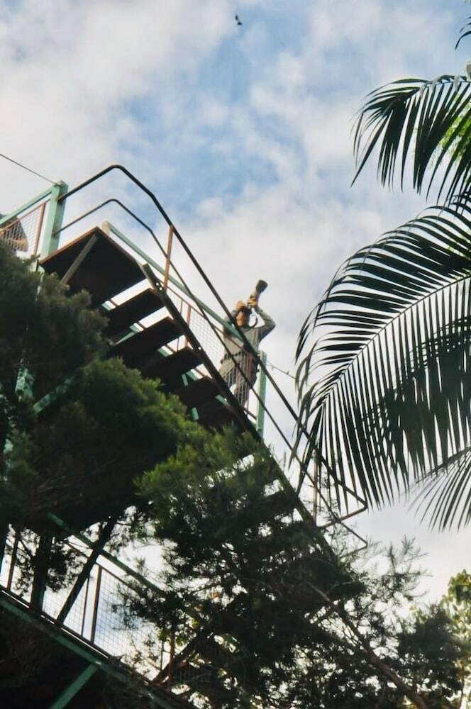 Hostal Pousada Salve Floresta