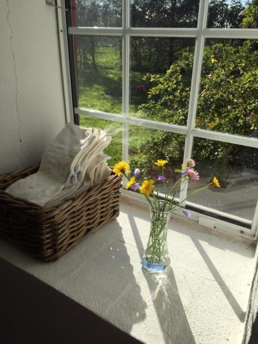 Bed & Breakfast Alsbrogaard