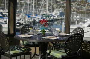 Best Western Plus Island Palms Hotel & Marina