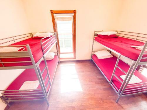 International Travelers House Adventure Hostel