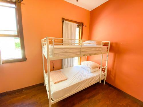 International Travelers House Adventure Hostel