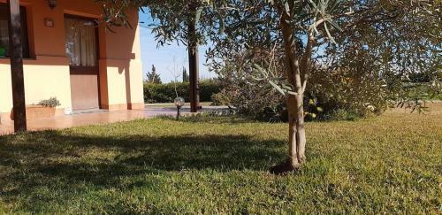 Agroturismo Le Terre Di San Domenico