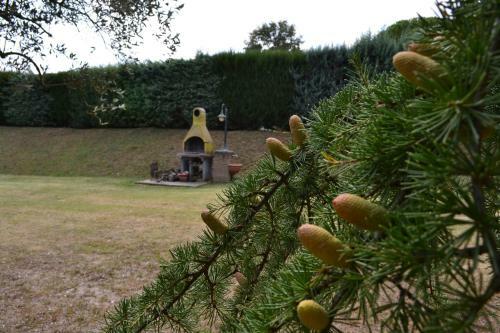 Agroturismo Casale Montemoro