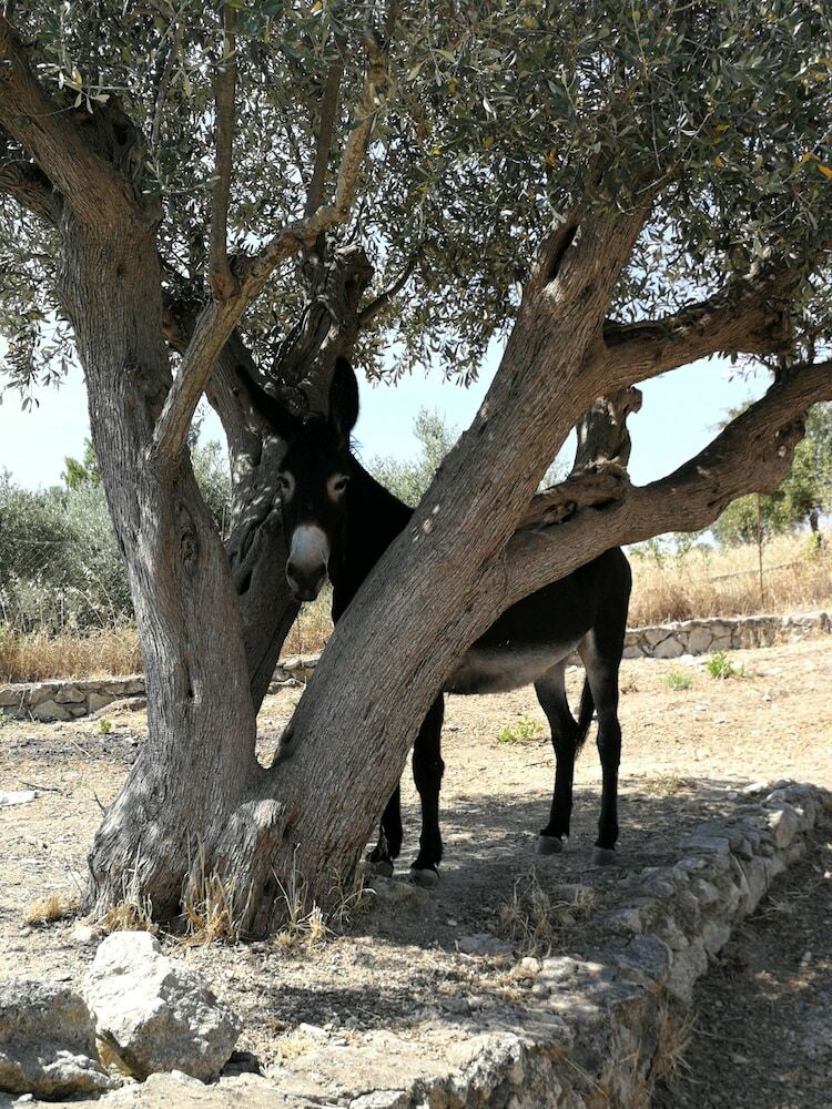 Posada Roba Albanisi