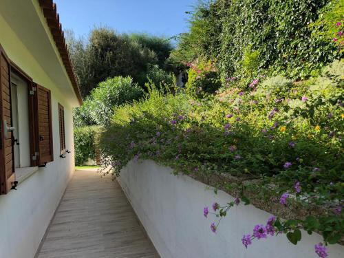 Villa Baja Sardinia