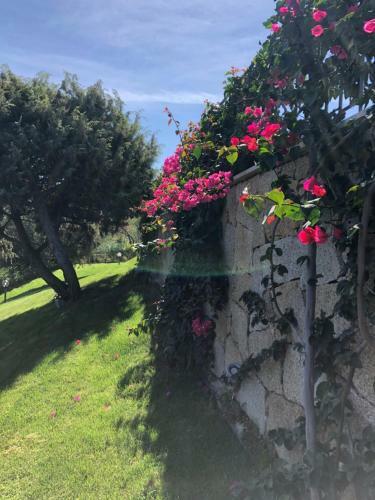 Villa Baja Sardinia