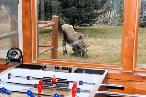 Lodge Moose Cabin
