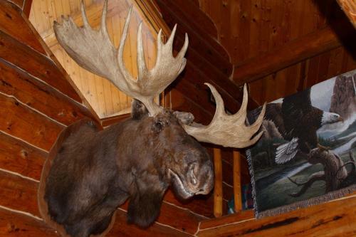 Wise Old Hunter Lodge