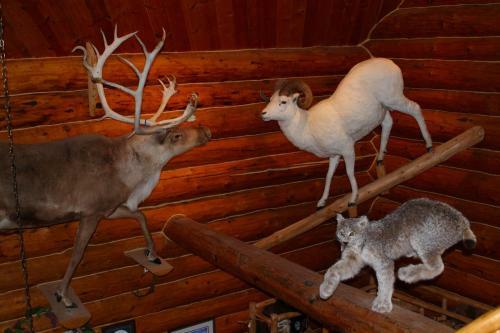Wise Old Hunter Lodge
