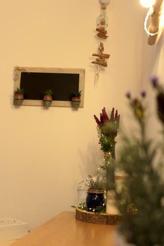 Hostal Deshome Guest House