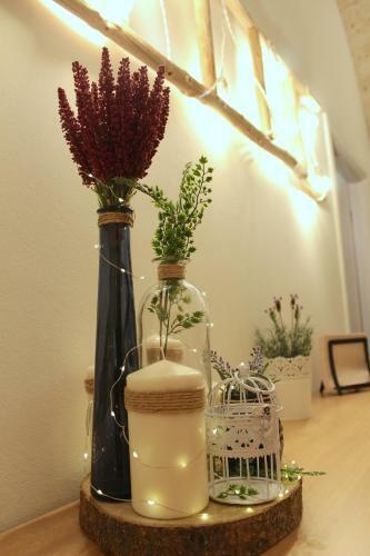 Hostal Deshome Guest House