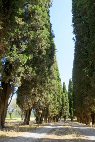 Podere Del Lago 251s
