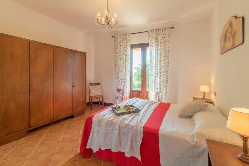 Apartamento Agriturismo Poderaccio