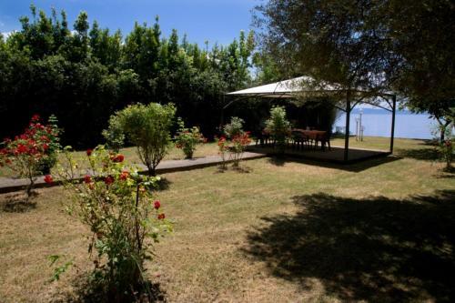 Apartamento La Pioppetta