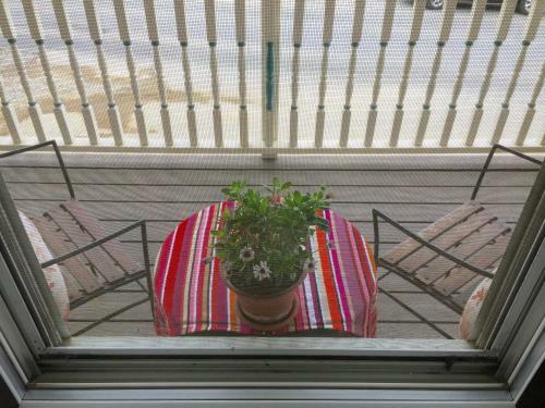 Harrington House Bed & Breakfast