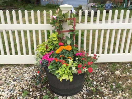Harrington House Bed & Breakfast
