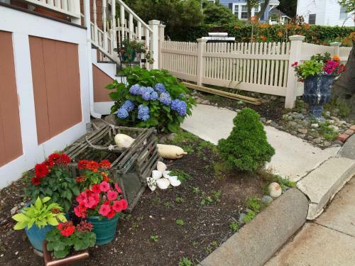 Harrington House Bed & Breakfast