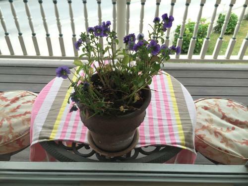 Harrington House Bed & Breakfast