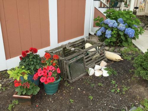 Harrington House Bed & Breakfast