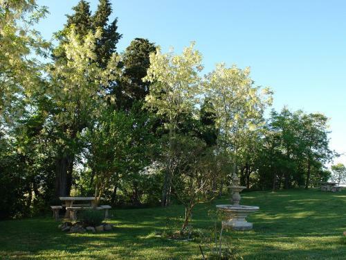 Apartamento Locazione Turistica Casciaio