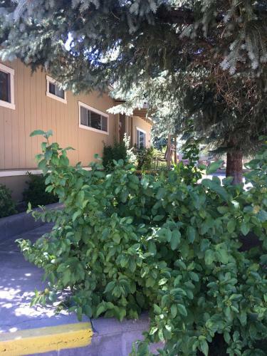 Lake View Lodge