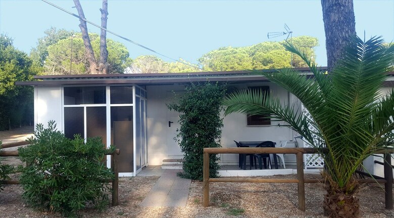 Aurelia Club
