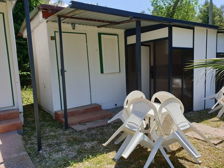 Aurelia Club